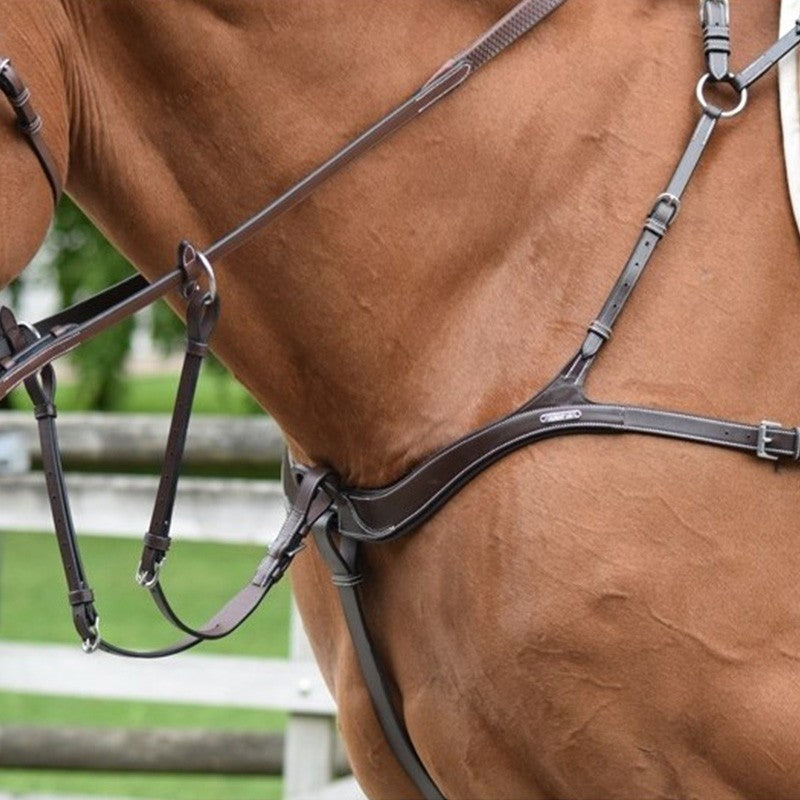 Jump'In 2 in 1 Breastplate Martingale - One Collection
