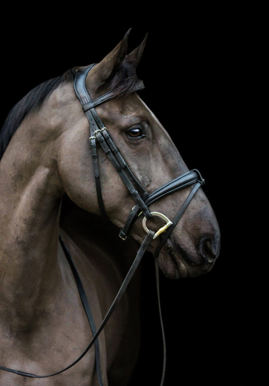 Ecorider Ecosoft Luxe Build Your Own Bridle - black