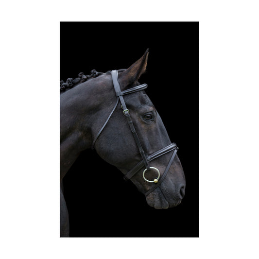 Ecorider Classic Build Your Own Bridle - black