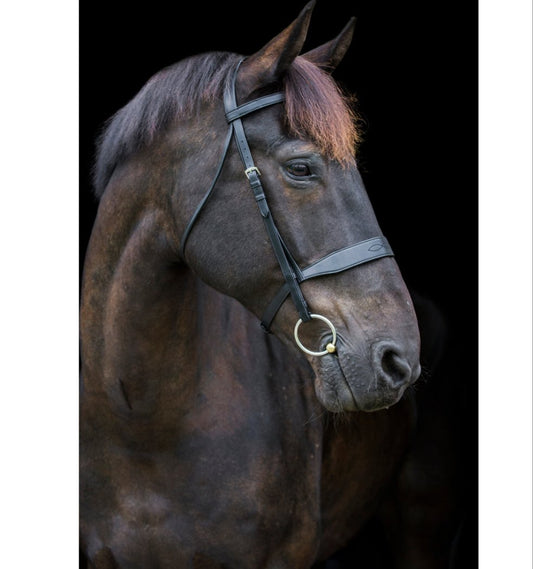 Ecorider Classic Show Build Your Own Bridle - brown