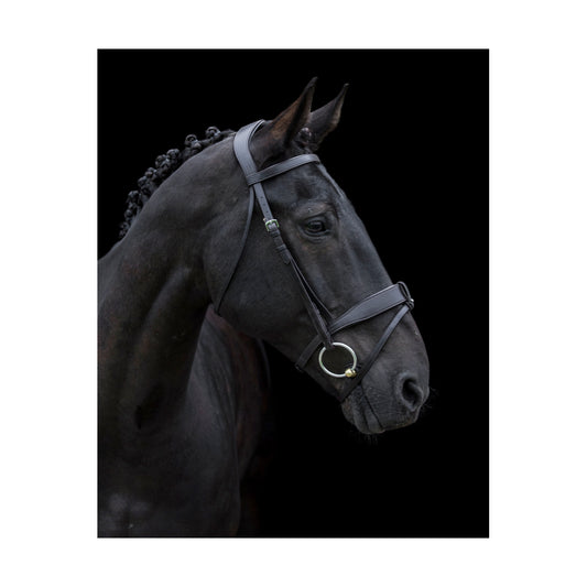 Ecorider Classic Show Comfort Build Your Own Bridle - black