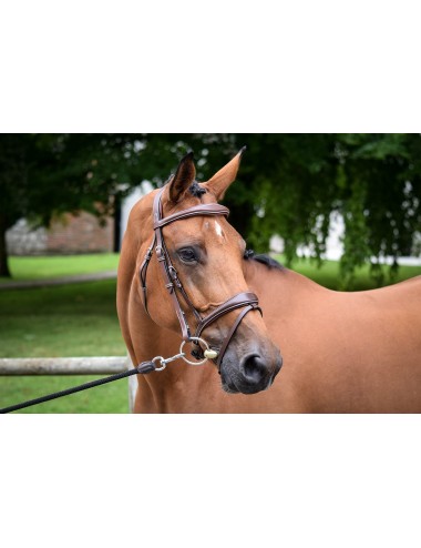 Jump'in Bruxelles Flash Bridle - One Collection