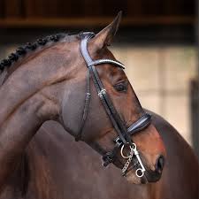 Shires Velociti Lusso Padded Double Bridle