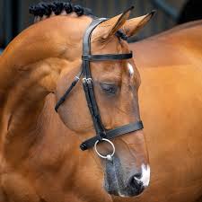 Shires Velociti Lusso Elite Hunter Cavesson Bridle