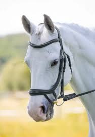 Shires Velociti RAPIDA Ergonomic Curved Flash Bridle