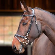 Shires Velociti RAPIDA Training Bridle