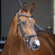 Shires Velociti Lusso Ergonomic Curved Flash Bridle