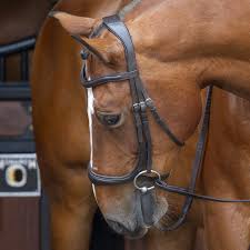 Shires Velociti RAPIDA Ergonomic Cavesson Bridle
