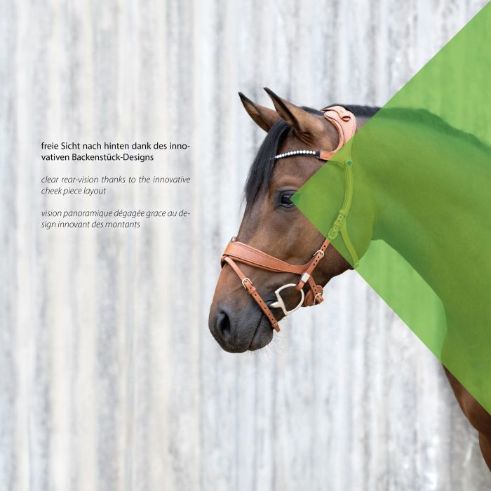 *Hire Stubben Freedom II Bridle