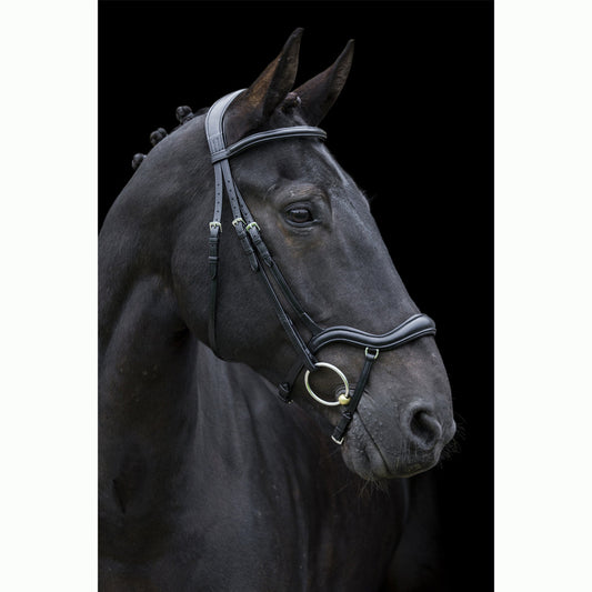 Ecorider Ecosoft Finesse Build Your Own Bridle - brown