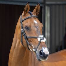 Shires Velociti Lusso Elite Grackle Bridle