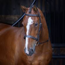 Shires Velociti RAPIDA Hunter Cavesson Bridle