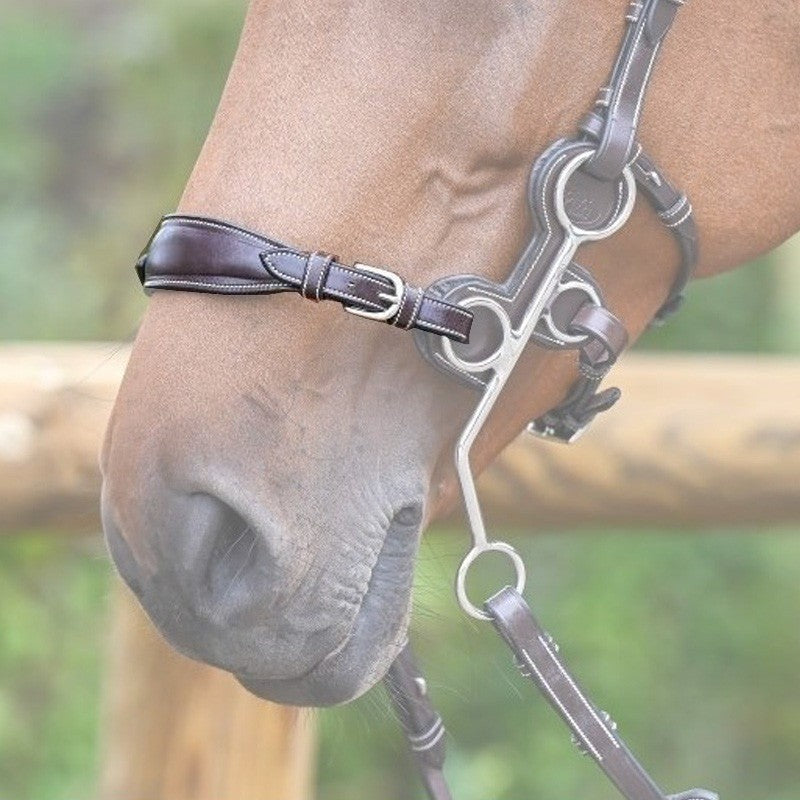 Jump'in Hackamore Noseband
