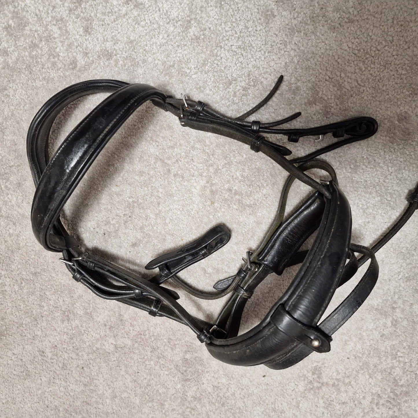 Pony black ecorider ecoluxe padded cavesson / flash bridle A10