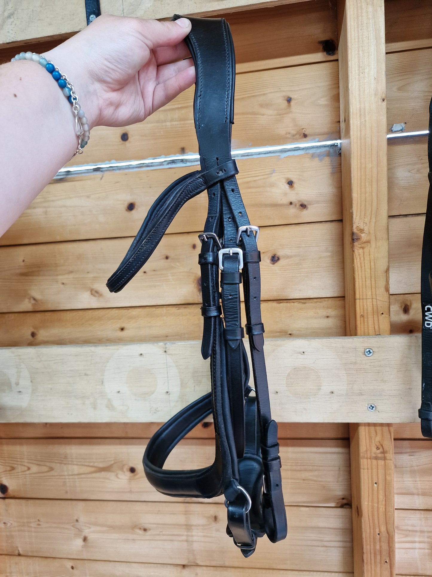 Cob black heritage anatomical bridle