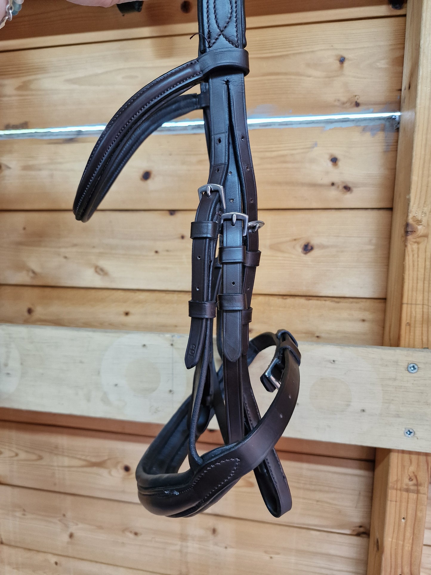 Cob brown Colligate flash bridle