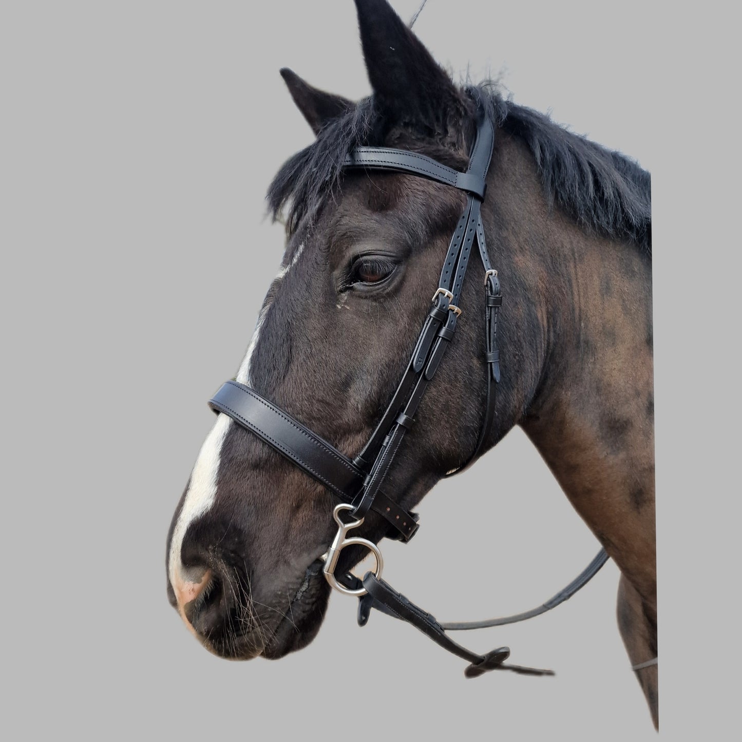 TBD Comfort 2" Padded Hunter Bridle
