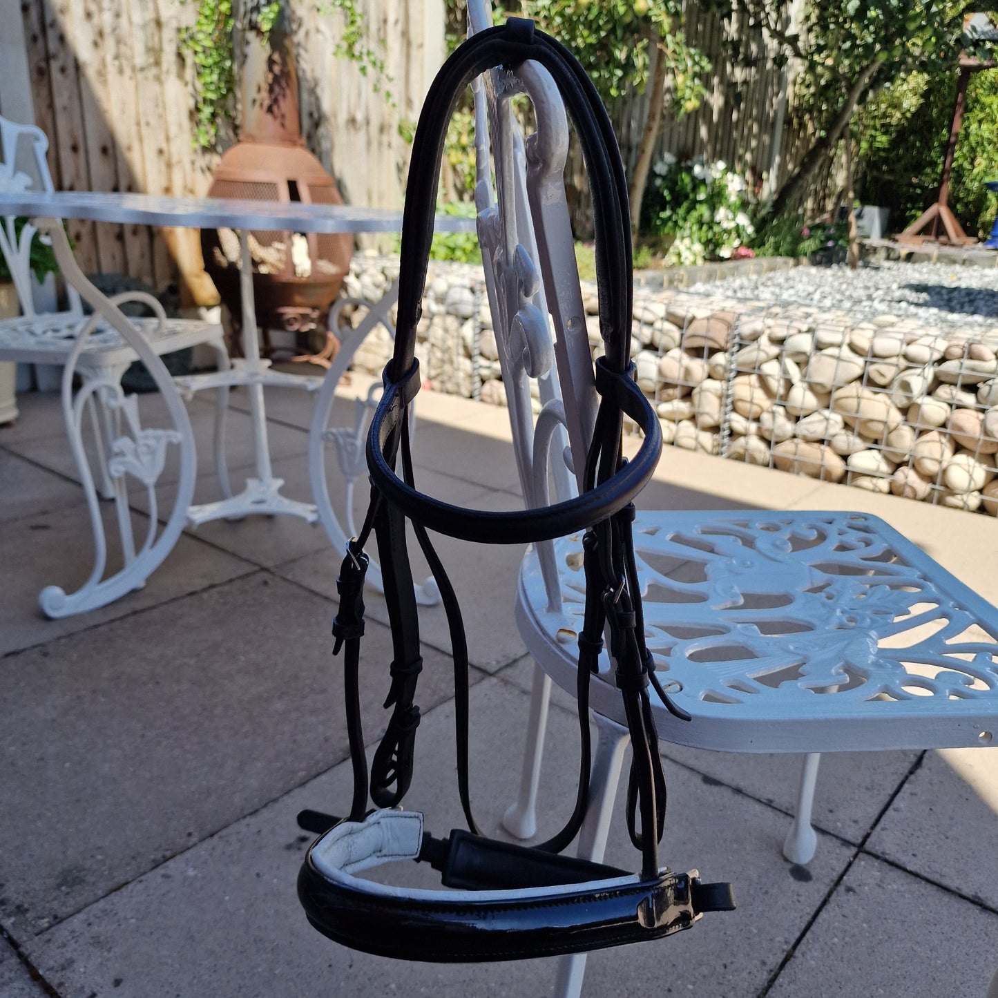 Full black Albion padded crank cavesson bridle A28