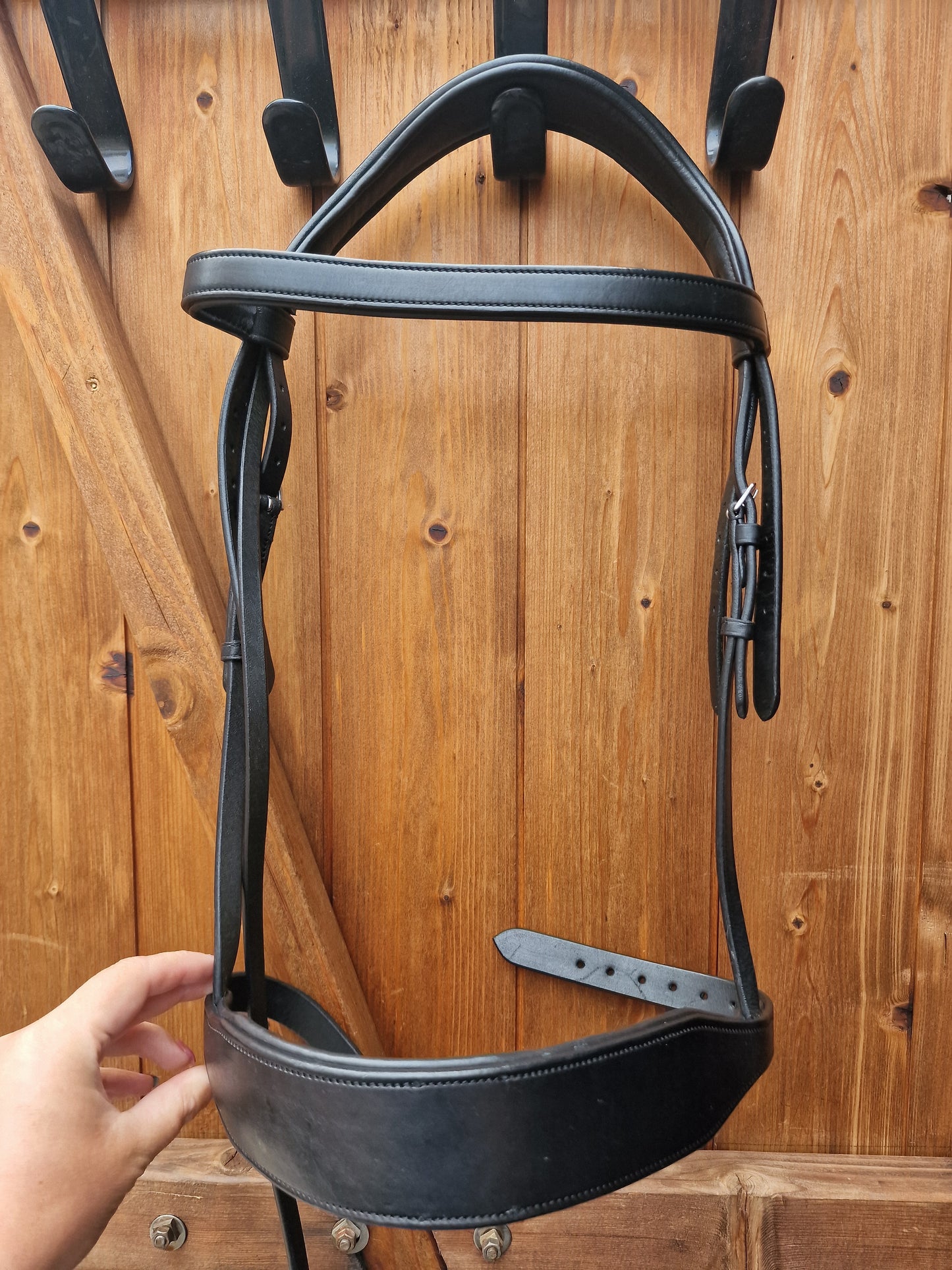 Full black Ecorider Show Comfort hunter, removeable flash Bridle A60