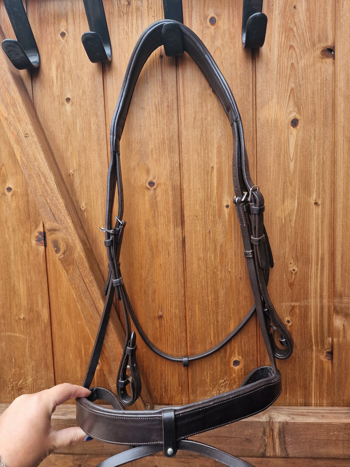 XF brown Ecorider Show Comfort hunter Bridle A65