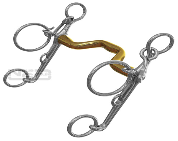 Neue Schule Warmblood Show Pelham