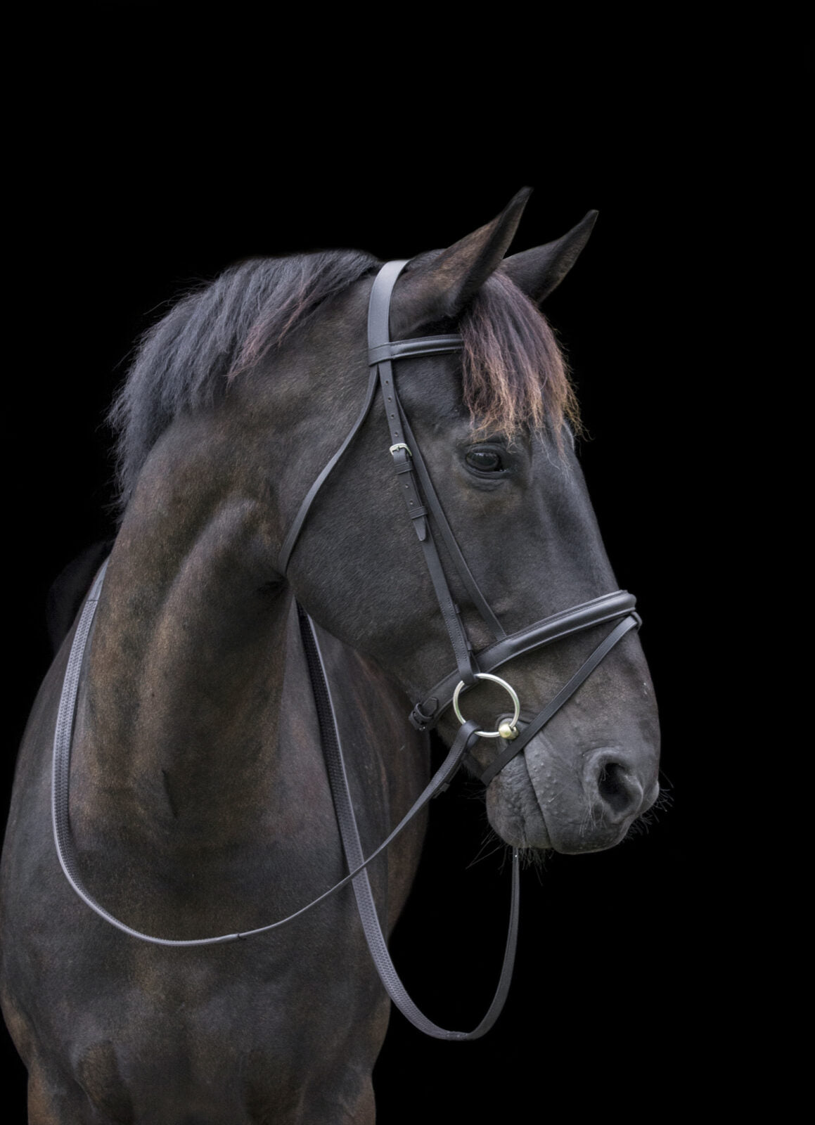 Cameo Classic Bridle with Rubber Reins