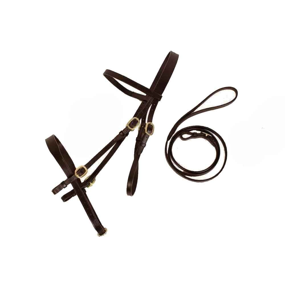 Cameo inhand bridle with lead rein