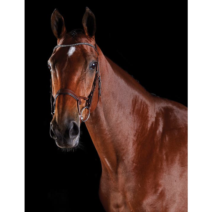 COLLEGIATE ComFiTec Crystal Training Bridle