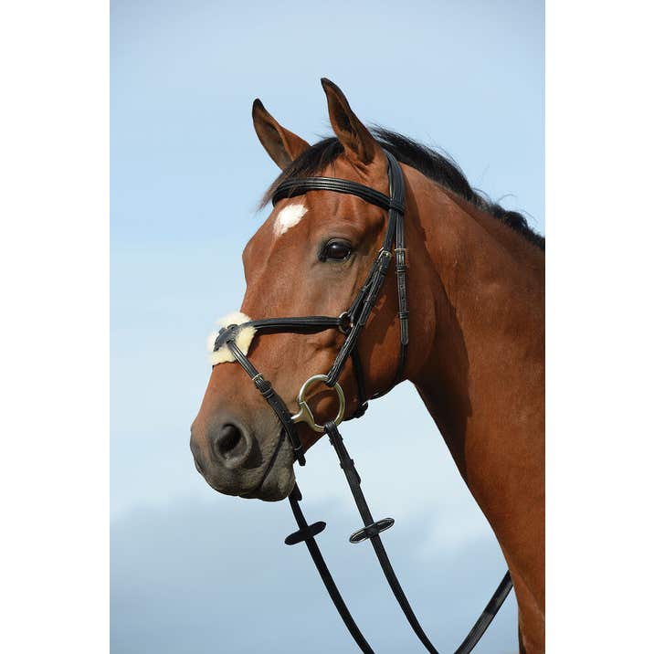 COLLEGIATE Syntovia+ Padded Raised Grackle Bridle