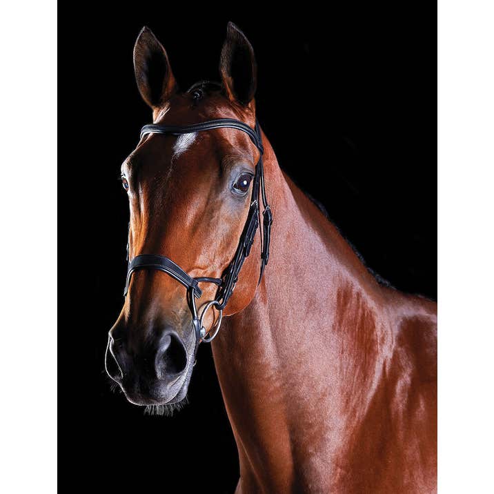 COLLEGIATE ComFiTec Training Bridle