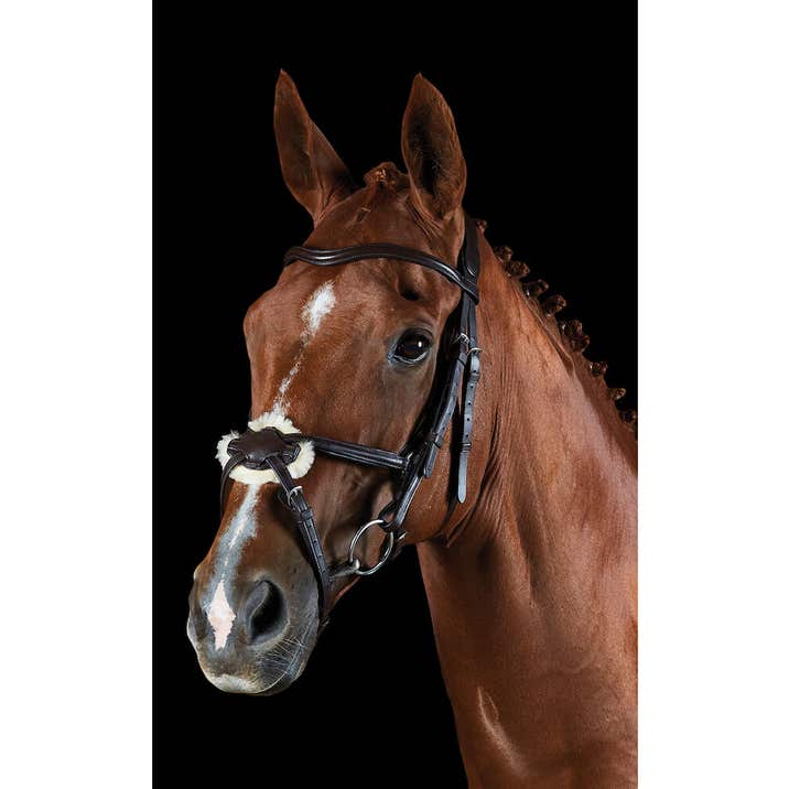 COLLEGIATE ComFiTec Grackle Bridle