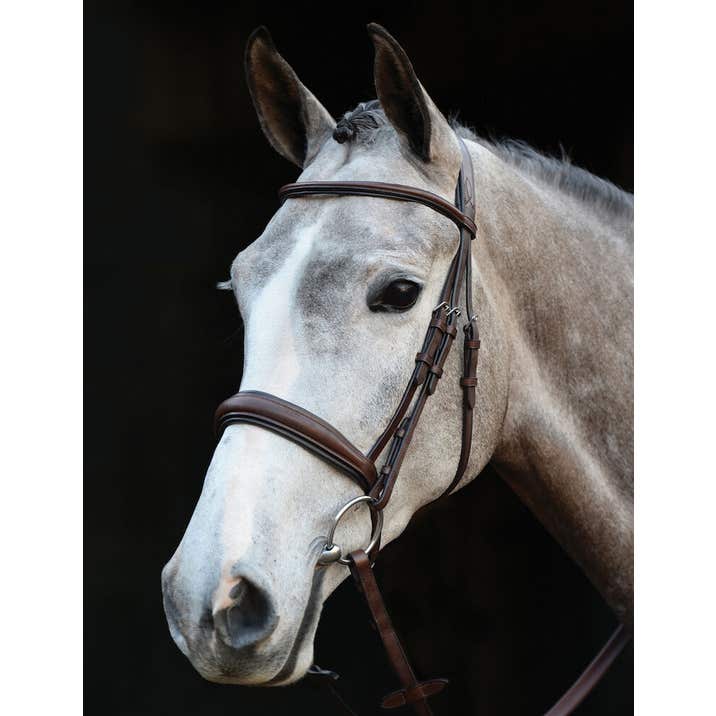 COLLEGIATE Mono crown padded raised cavesson bridle