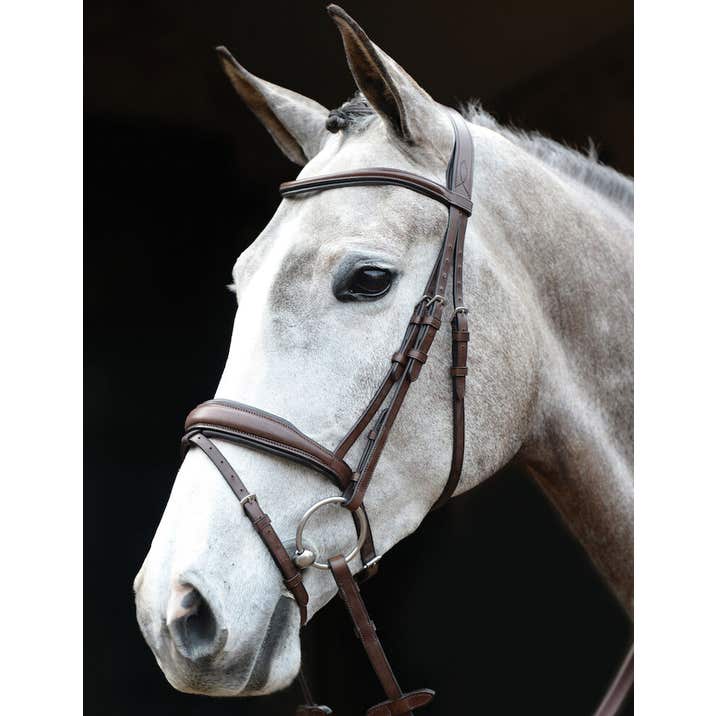 COLLEGIATE Mono crown padded raised flash bridle