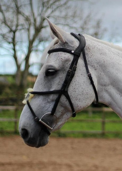 Ecorider Freedom Grackle Build Your Own Bridle - brown