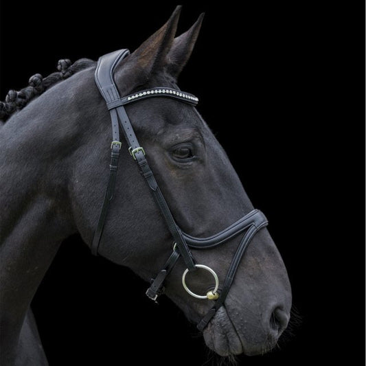 Ecorider Ecosoft Acclaim Build Your Own Bridle - black