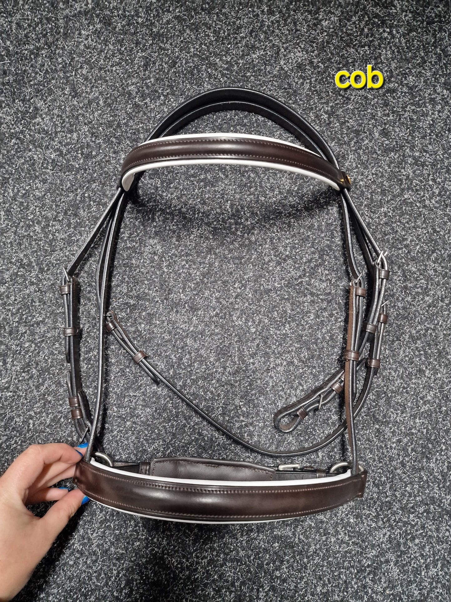 Cob brown English leather cavesson bridle