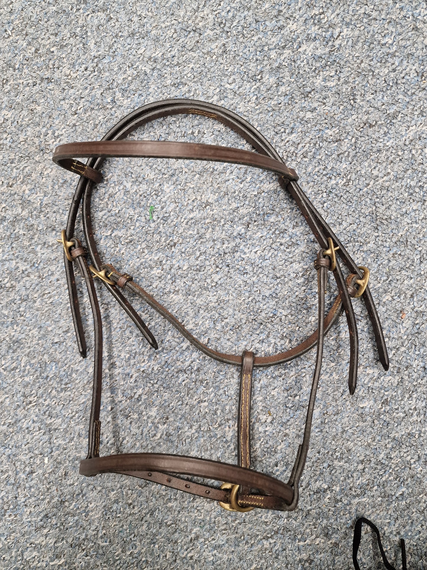 Brown filly slip English leather inhand bridle