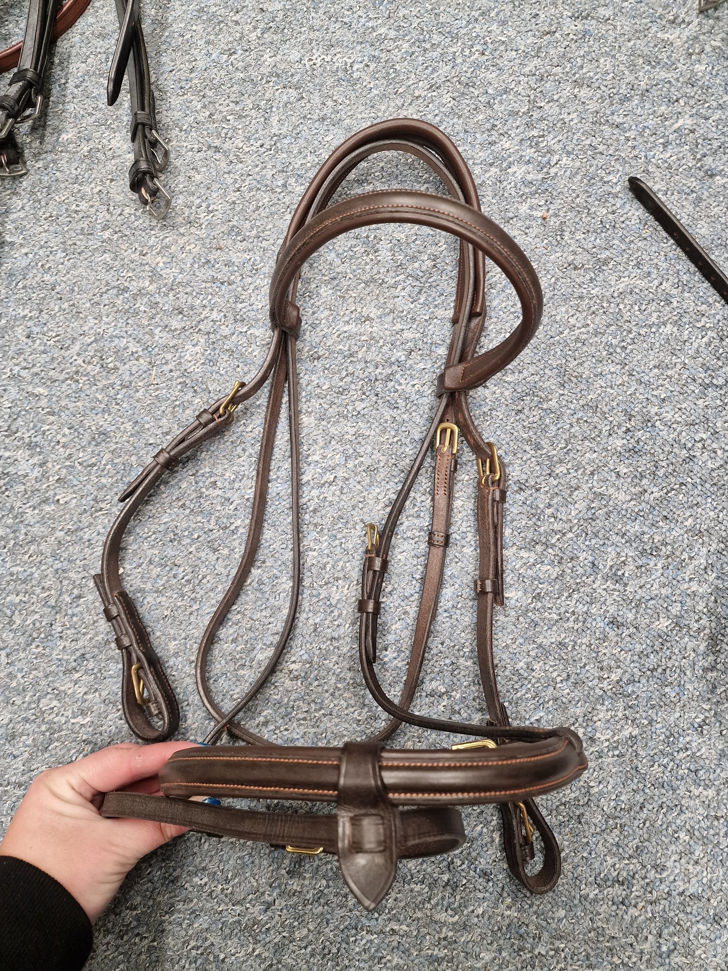 Full brown Pariani English leather cavesson removable flash bridle