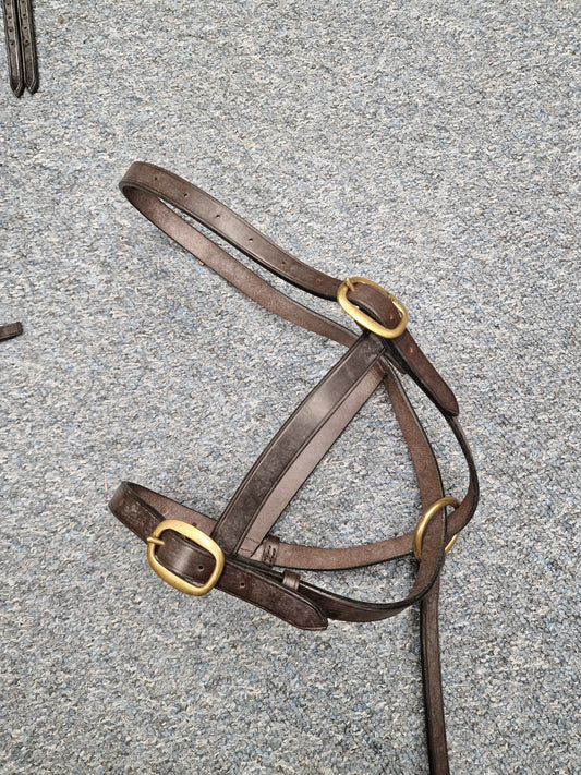 Brown foal slip English leather inhand bridle