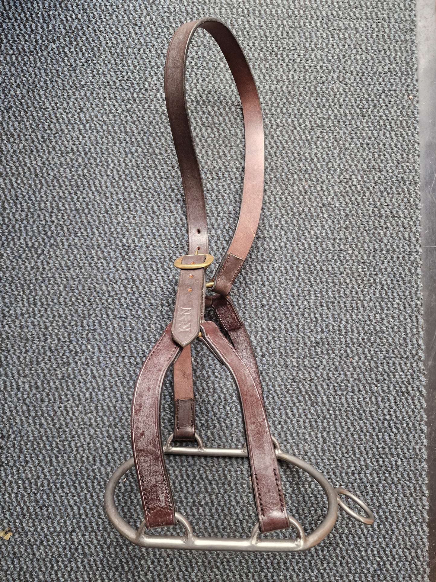 Kate negus Stallion Stud ring
