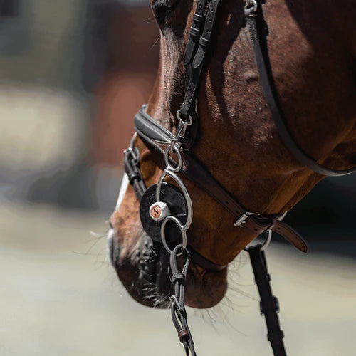 Nathe Universal Gag jointed Bit