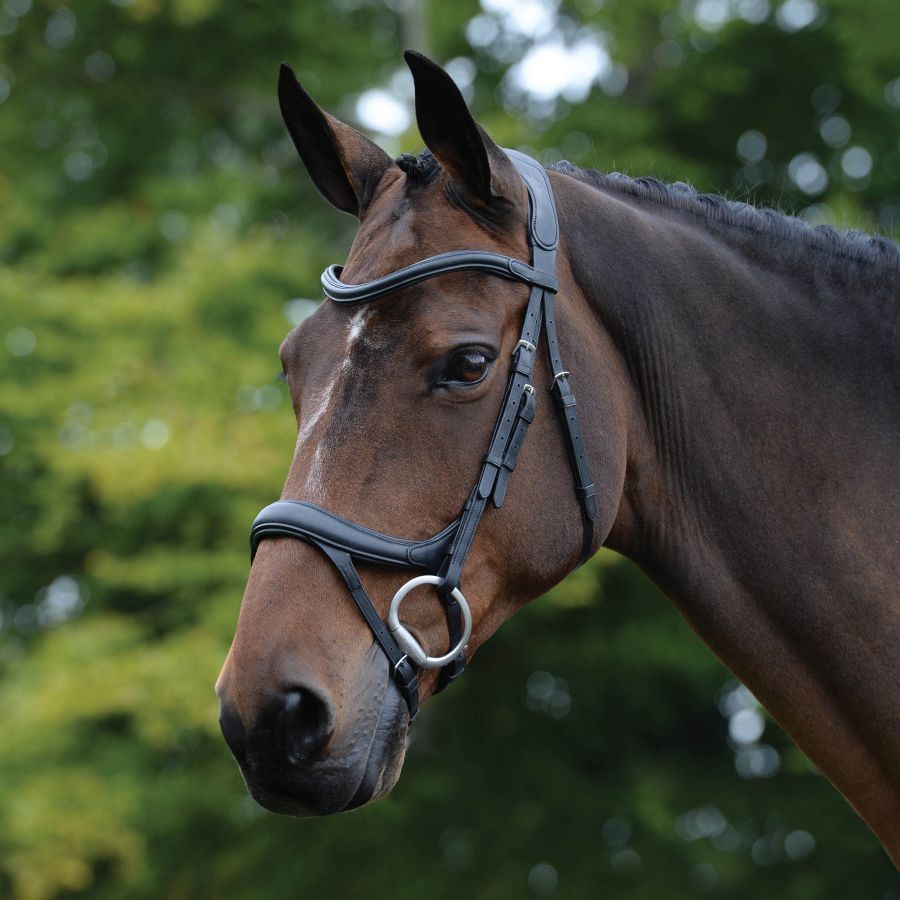 COLLEGIATE COMFITEC VOGUE ANATOMICAL BRIDLE