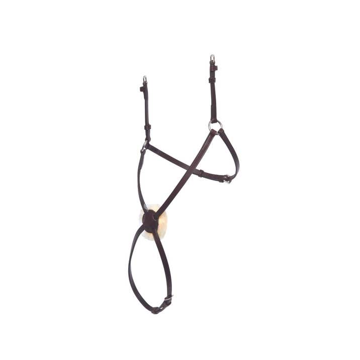 COLLEGIATE Mono crown grackle  noseband