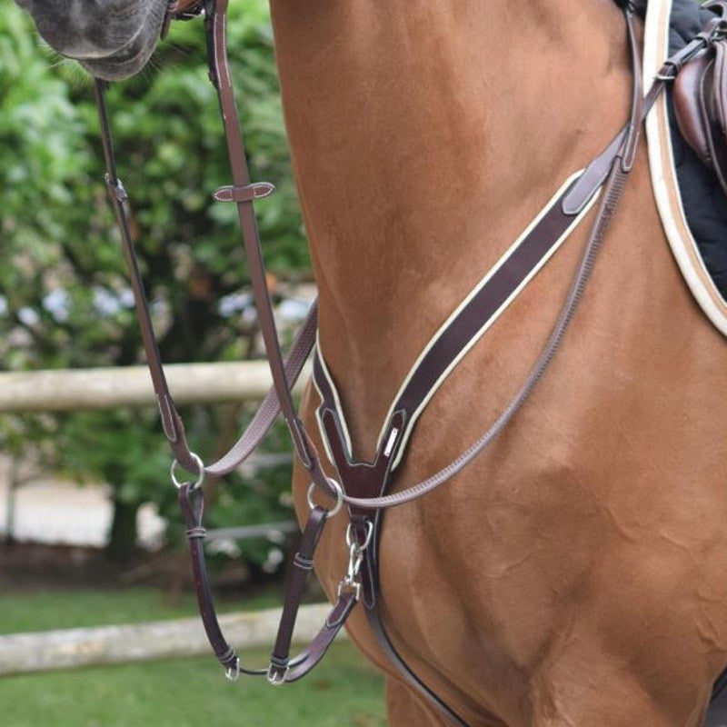 Jump'In Elastic Breastplate Martingale - One Collection
