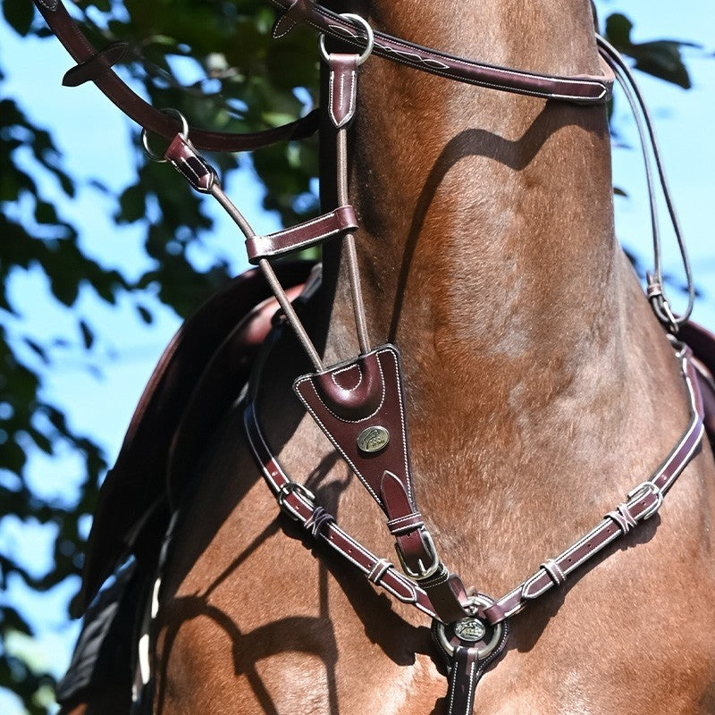 Jump'In Elastic Martingale Attachment - Week Collection