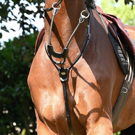 Jump'In Elastic  Running Martingale - Week Collection