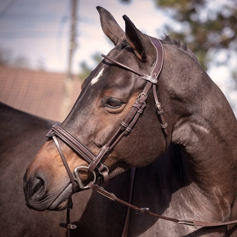 Jump'In Friday Bridle Flash noseband- Week Collection