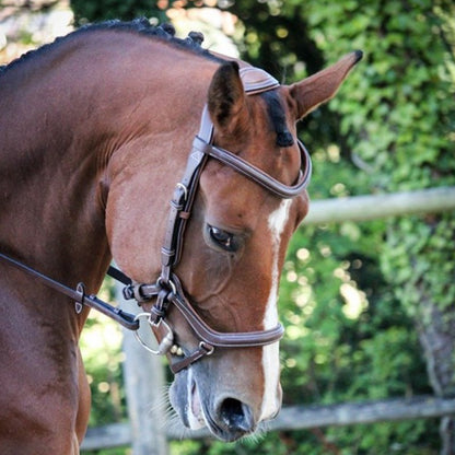 Jump'in New York Bridle - One Collection (Copy)