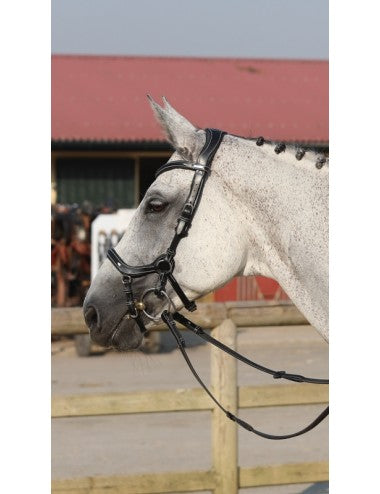 Jump'in New York Bridle - One Collection (Copy)