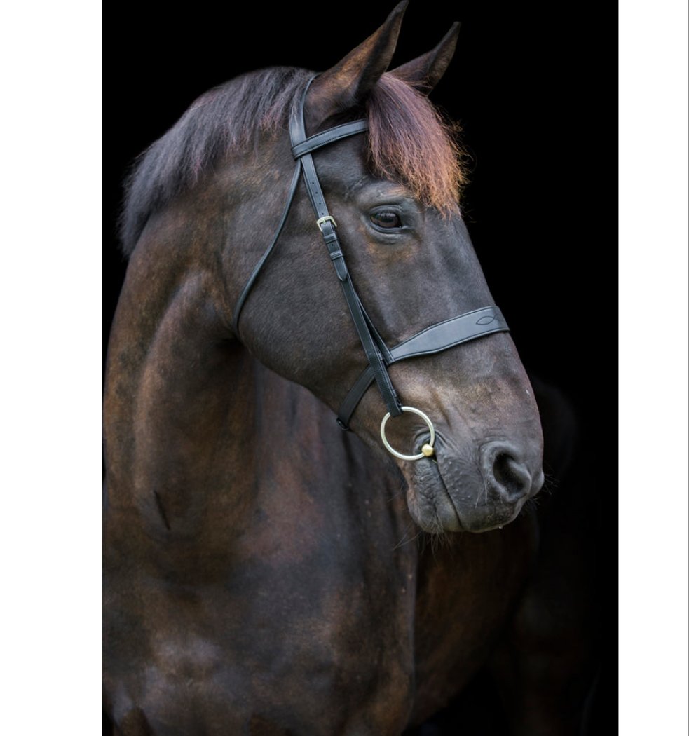 Ecorider Classic Show Bridle